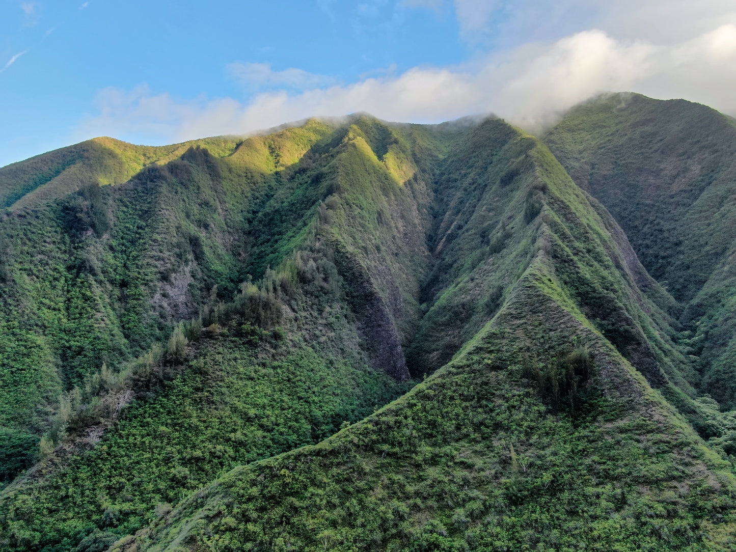 Maui, Hawaii. ʻĪao Valley State Monument.